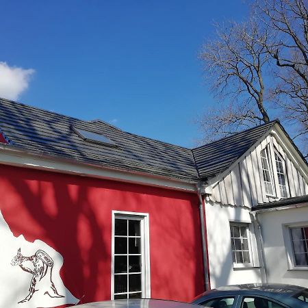 Kleines Studio Im Eichenwaeldchen, 1 Zimmer Kueche Bad Friedrichsgrun Exteriör bild