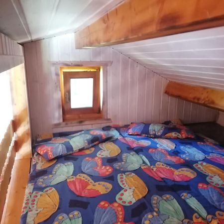 Kleines Studio Im Eichenwaeldchen, 1 Zimmer Kueche Bad Friedrichsgrun Exteriör bild