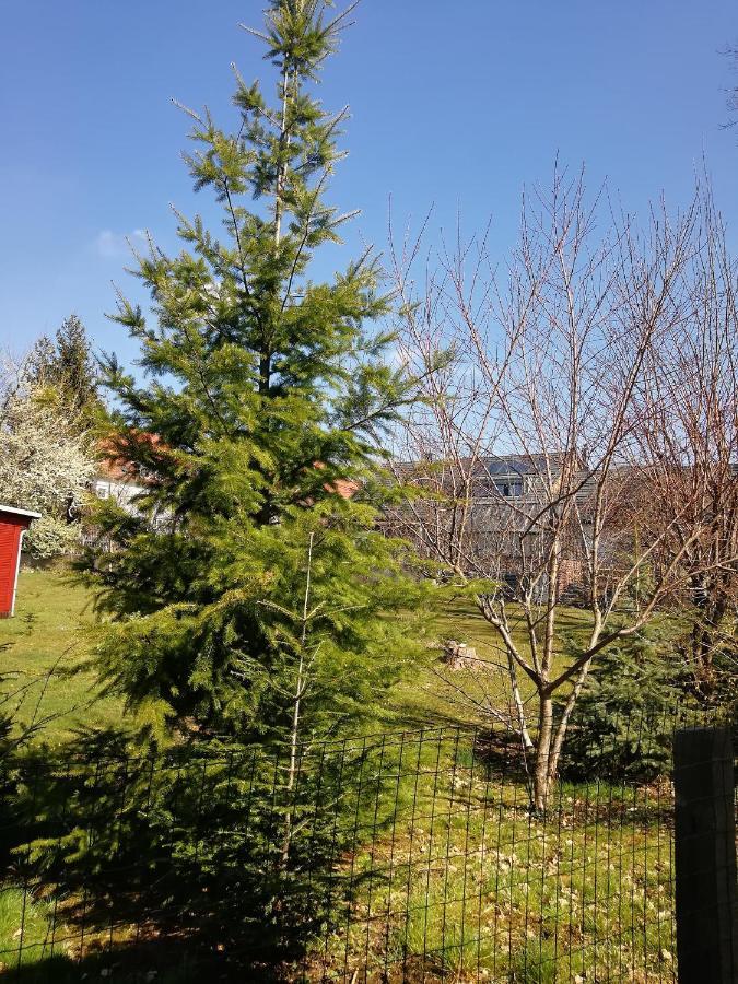 Kleines Studio Im Eichenwaeldchen, 1 Zimmer Kueche Bad Friedrichsgrun Exteriör bild