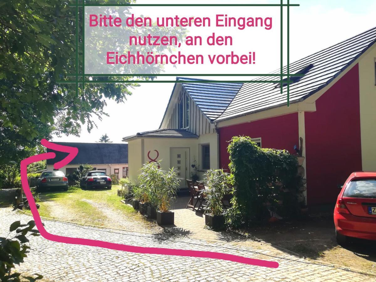 Kleines Studio Im Eichenwaeldchen, 1 Zimmer Kueche Bad Friedrichsgrun Exteriör bild