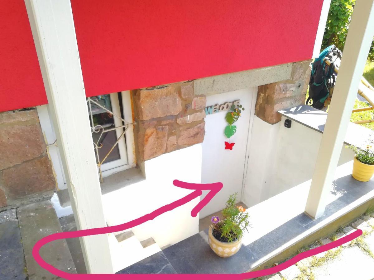Kleines Studio Im Eichenwaeldchen, 1 Zimmer Kueche Bad Friedrichsgrun Exteriör bild