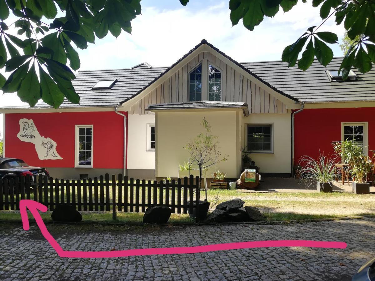 Kleines Studio Im Eichenwaeldchen, 1 Zimmer Kueche Bad Friedrichsgrun Exteriör bild